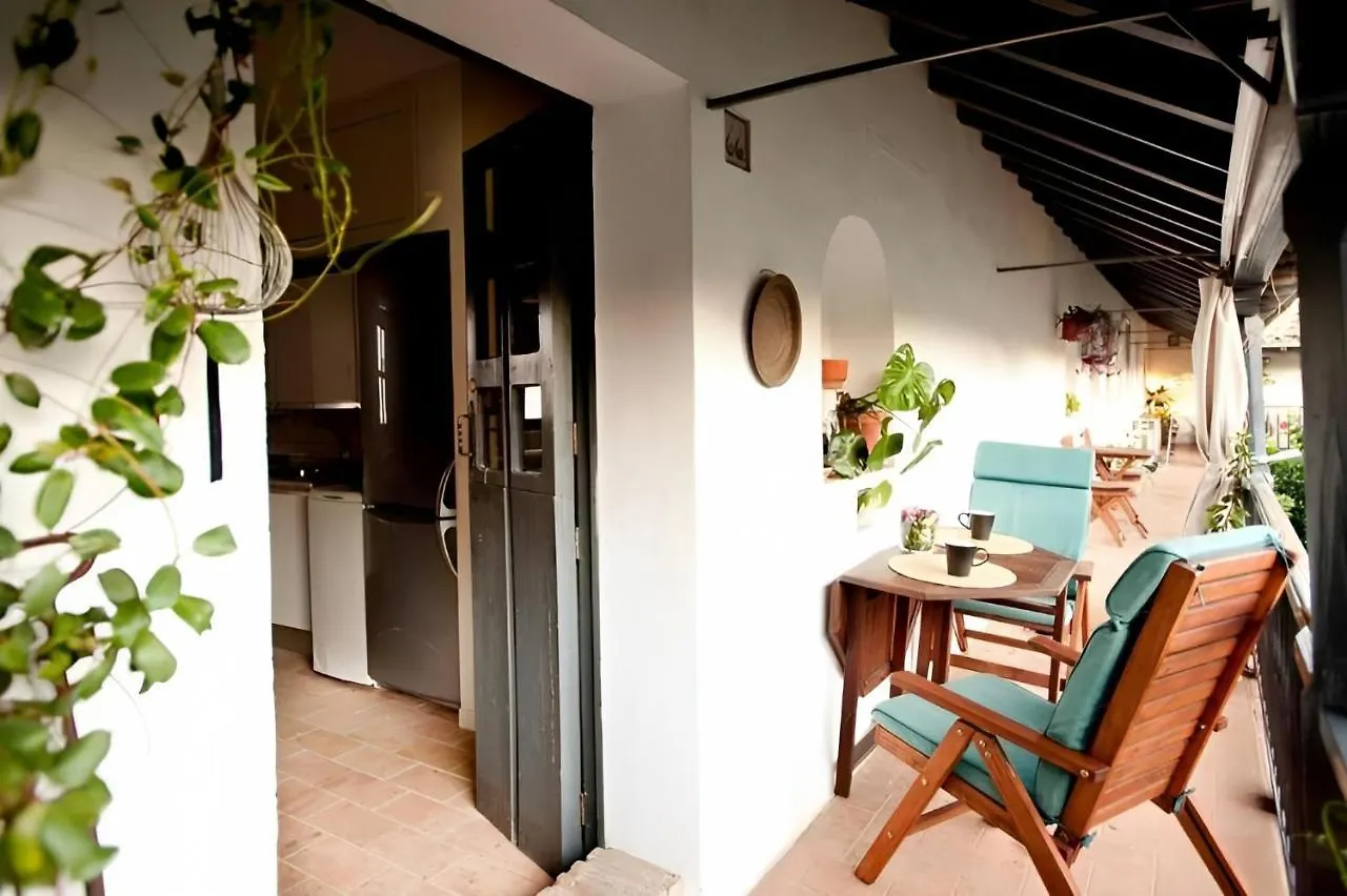 Apartment Exclusive Apt With Stunning Patio In The Center Seville Spain